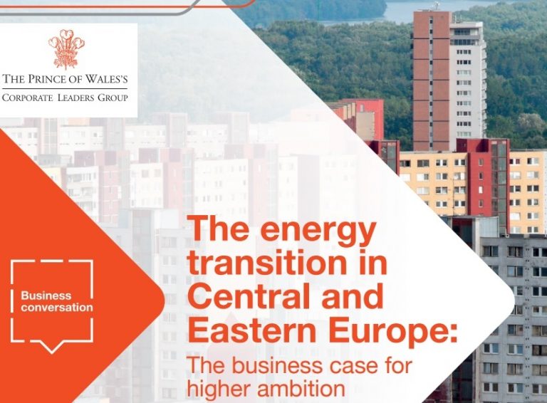 Conversation paper on the energy transition in Central and Eastern ...